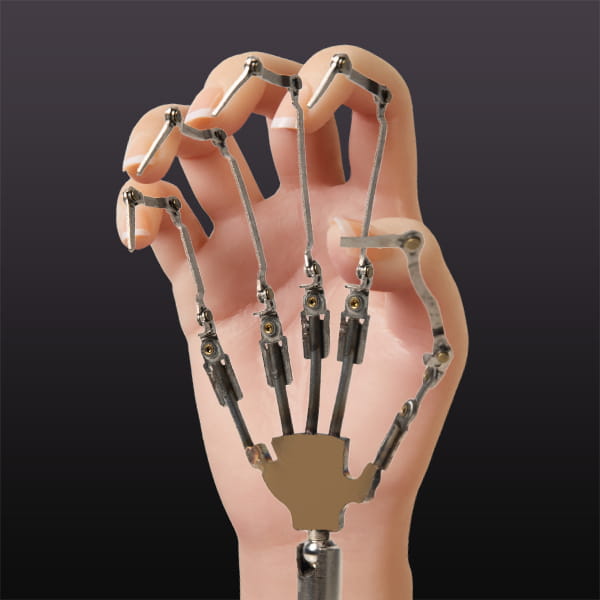 Articulated Skeleton